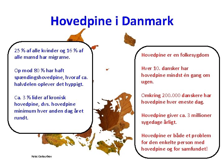Hovedpine i Danmark 25 % af alle kvinder og 16 % af alle mænd