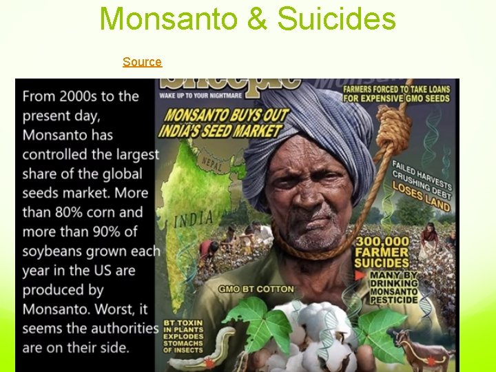 Monsanto & Suicides Source 