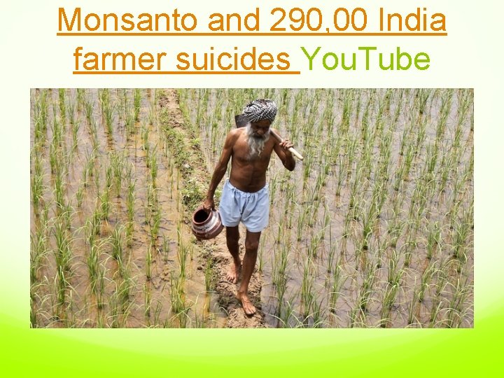 Monsanto and 290, 00 India farmer suicides You. Tube 