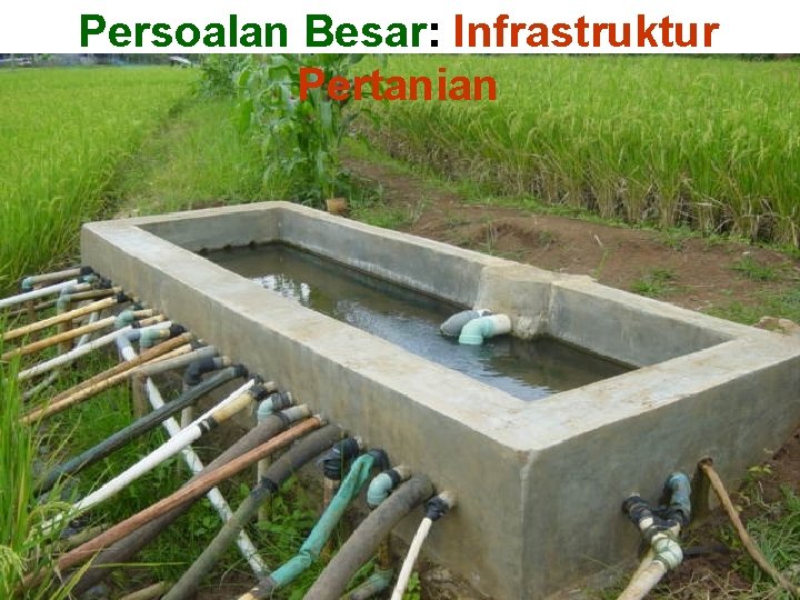 Persoalan Besar: Infrastruktur Pertanian 