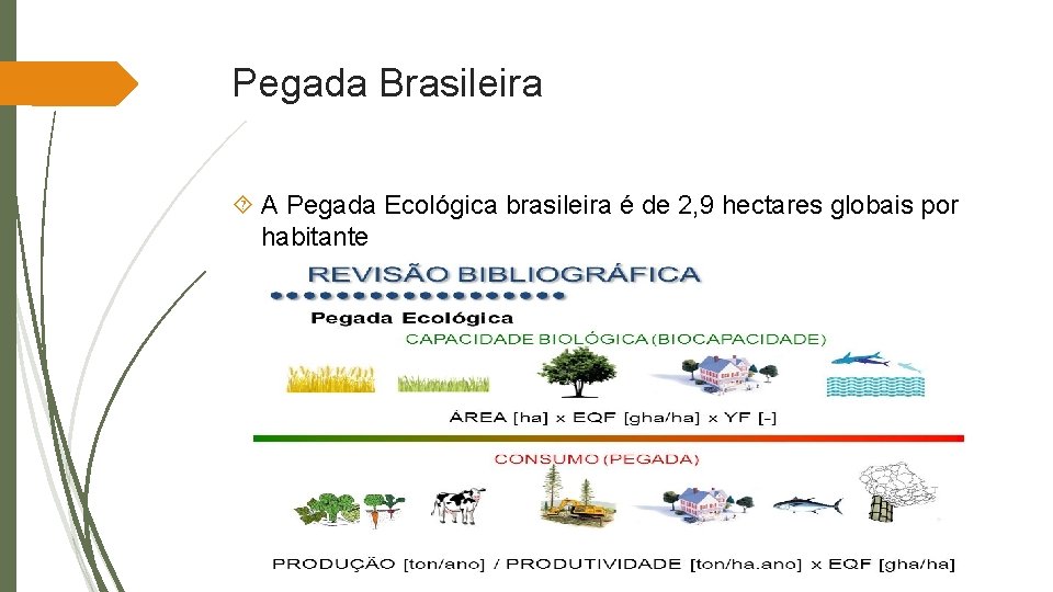 Pegada Brasileira A Pegada Ecológica brasileira é de 2, 9 hectares globais por habitante