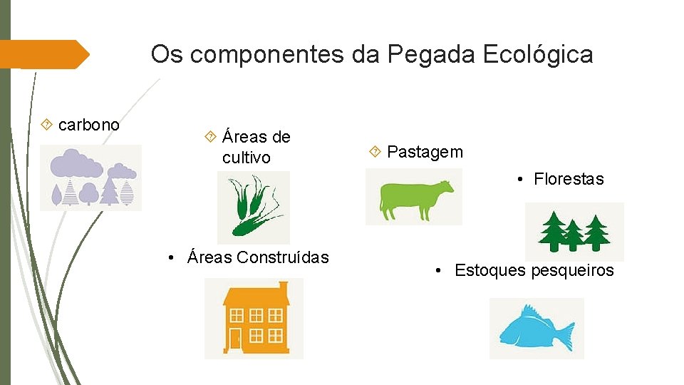 Os componentes da Pegada Ecológica carbono Áreas de cultivo Pastagem • Florestas • Áreas