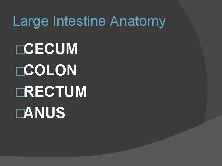 Large Intestine Anatomy �CECUM �COLON �RECTUM �ANUS 