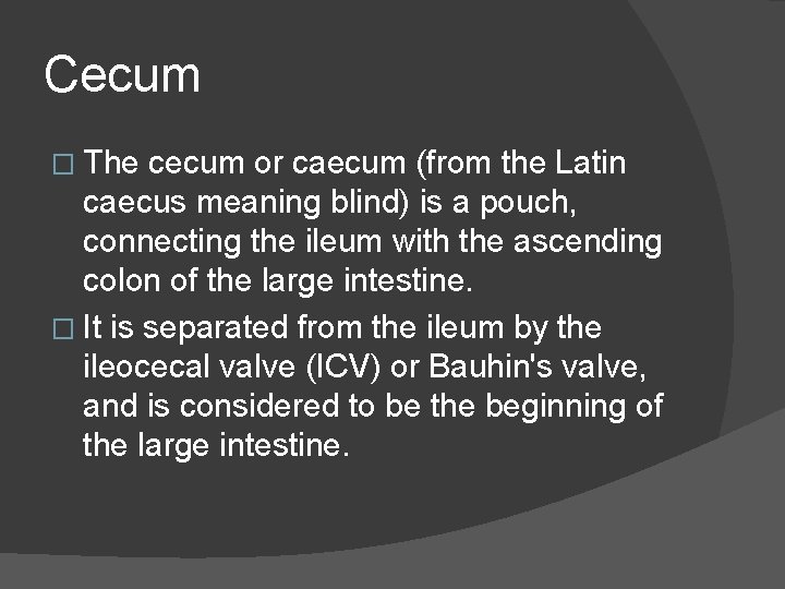 Cecum � The cecum or caecum (from the Latin caecus meaning blind) is a