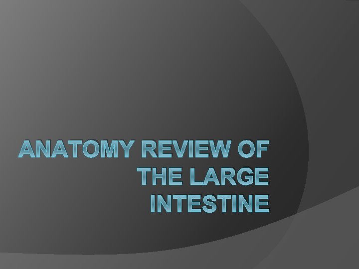 ANATOMY REVIEW OF THE LARGE INTESTINE 