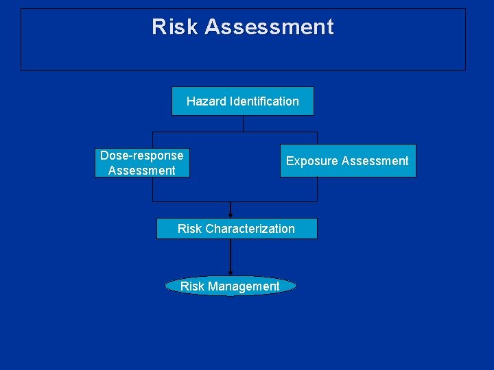 Risk Assessment Hazard Identification Dose-response Assessment Exposure Assessment Risk Characterization Risk Management 