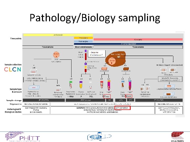 Pathology/Biology sampling 