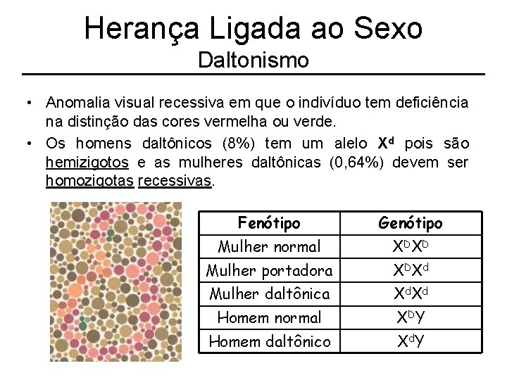 Herança Ligada ao Sexo Daltonismo • Anomalia visual recessiva em que o indivíduo tem