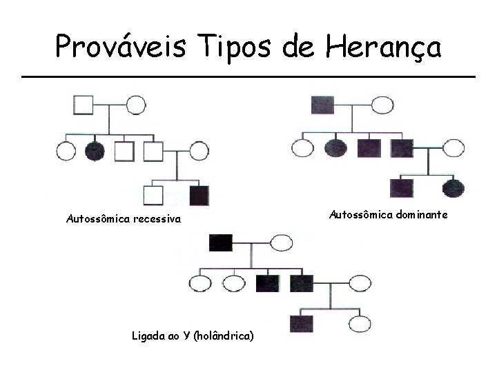 Prováveis Tipos de Herança Autossômica recessiva Ligada ao Y (holândrica) Autossômica dominante 