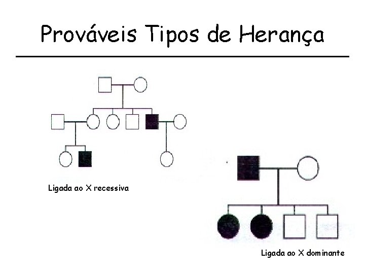 Prováveis Tipos de Herança Ligada ao X recessiva Ligada ao X dominante 