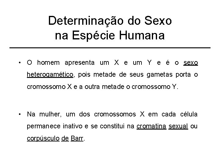 Determinação do Sexo na Espécie Humana • O homem apresenta um X e um