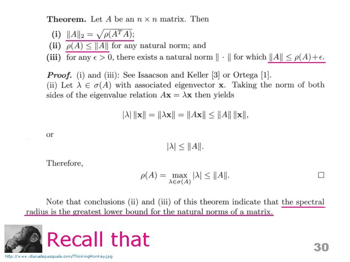 Recall that http: //www. dianadepasquale. com/Thinking. Monkey. jpg 30 