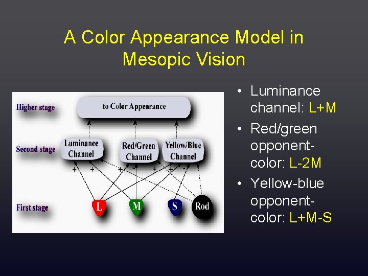 A Color Appearance Model in Mesopic Vision • Luminance channel: L+M • Red/green opponentcolor: