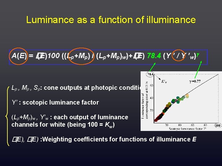 Luminance as a function of illuminance A (E ) = � (E)100 ((Lp+Mp) /