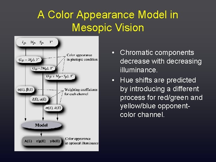 A Color Appearance Model in Mesopic Vision • Chromatic components decrease with decreasing illuminance.