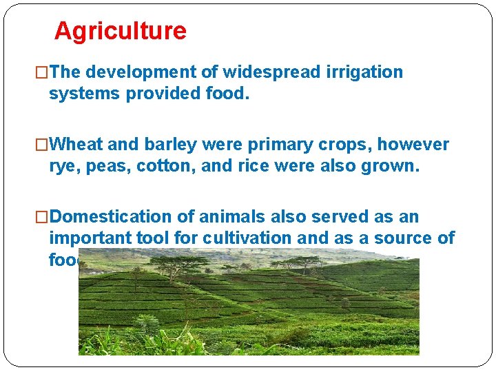 Agriculture �The development of widespread irrigation systems provided food. �Wheat and barley were primary