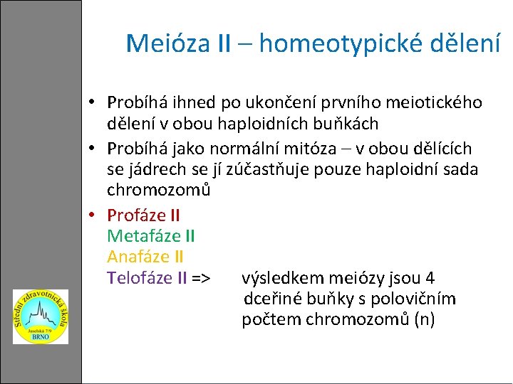 Meióza II – homeotypické dělení • Probíhá ihned po ukončení prvního meiotického dělení v