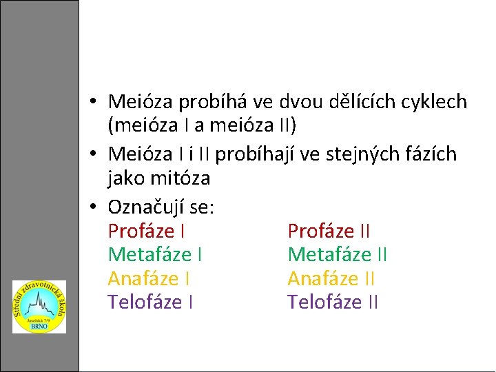  • Meióza probíhá ve dvou dělících cyklech (meióza I a meióza II) •