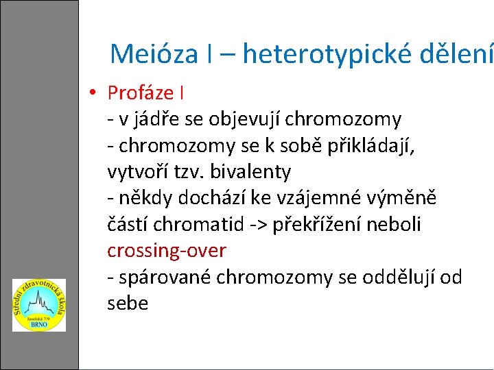 Meióza I – heterotypické dělení • Profáze I - v jádře se objevují chromozomy