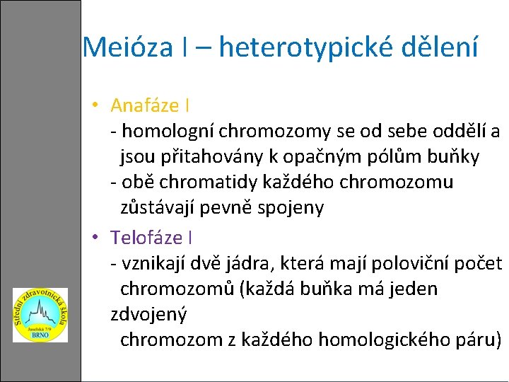 Meióza I – heterotypické dělení • Anafáze I - homologní chromozomy se od sebe