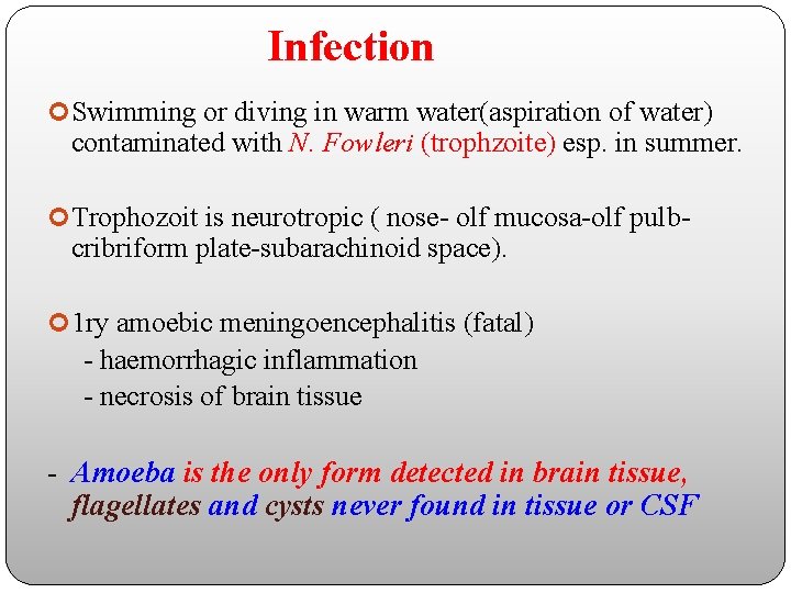 Infection Swimming or diving in warm water(aspiration of water) contaminated with N. Fowleri (trophzoite)