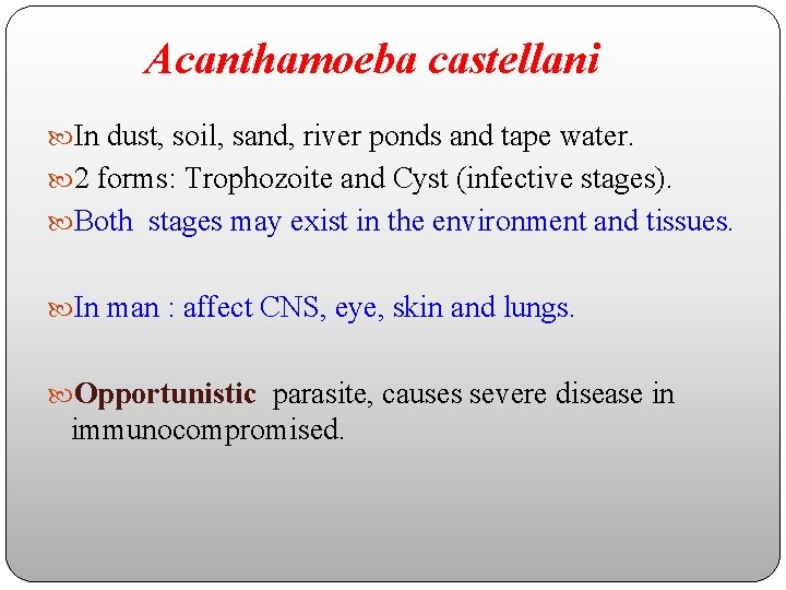 Acanthamoeba castellani In dust, soil, sand, river ponds and tape water. 2 forms: Trophozoite