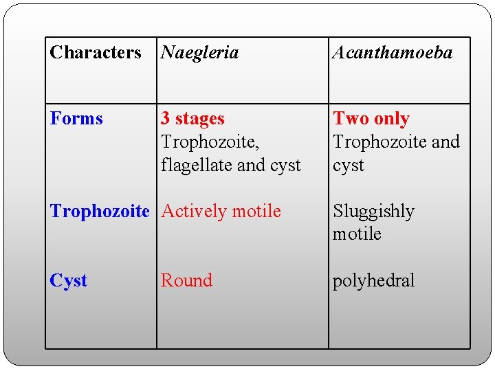 Characters Naegleria Acanthamoeba Forms 3 stages Trophozoite, flagellate and cyst Two only Trophozoite and
