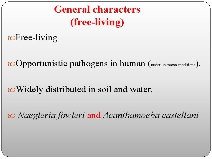 General characters (free-living) Free-living Opportunistic pathogens in human (under unknown conditions). Widely distributed in