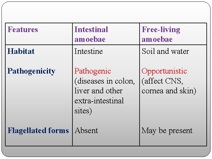 Features Habitat Pathogenicity Intestinal amoebae Intestine Free-living amoebae Soil and water Pathogenic Opportunistic (diseases