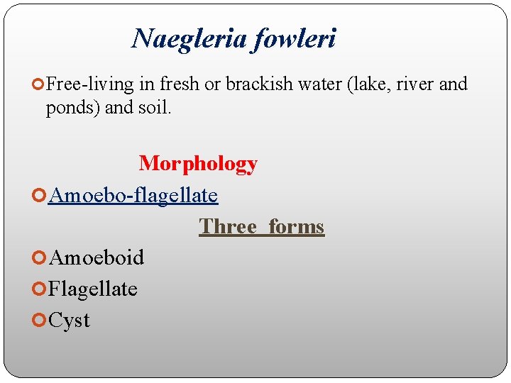 Naegleria fowleri Free-living in fresh or brackish water (lake, river and ponds) and soil.