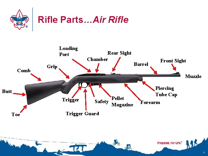 Rifle Parts…Air Rifle Loading Port Comb Rear Sight Chamber Grip Barrel Muzzle Butt Trigger