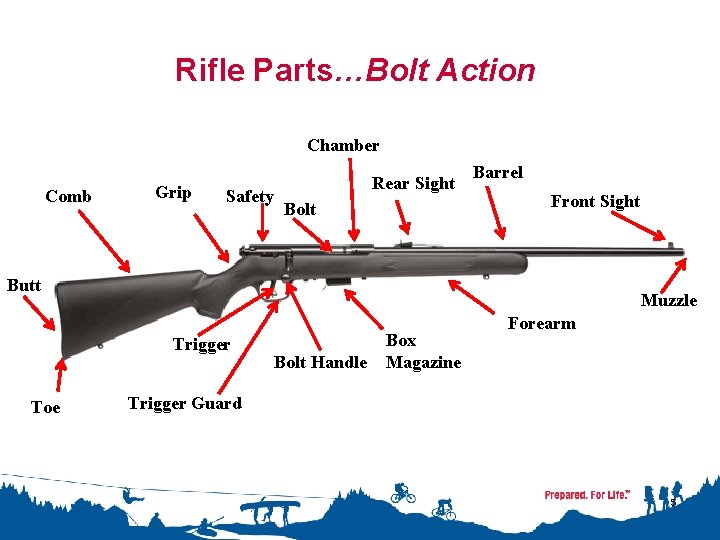 Rifle Parts…Bolt Action Chamber Comb Grip Safety Rear Sight Bolt Barrel Front Sight Butt