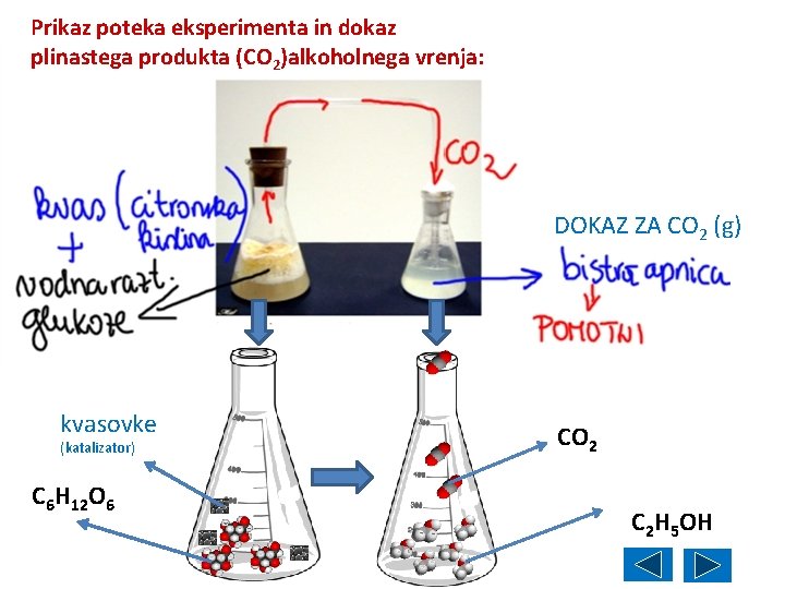Prikaz poteka eksperimenta in dokaz plinastega produkta (CO 2)alkoholnega vrenja: DOKAZ ZA CO 2