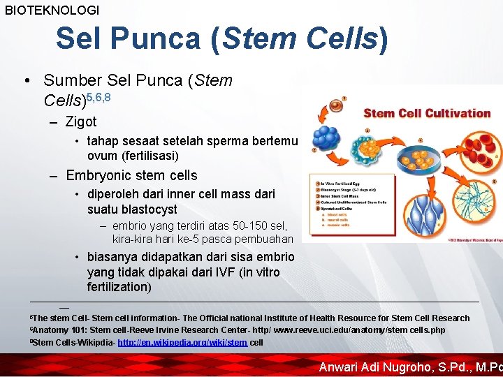 BIOTEKNOLOGI Sel Punca (Stem Cells) • Sumber Sel Punca (Stem Cells)5, 6, 8 –