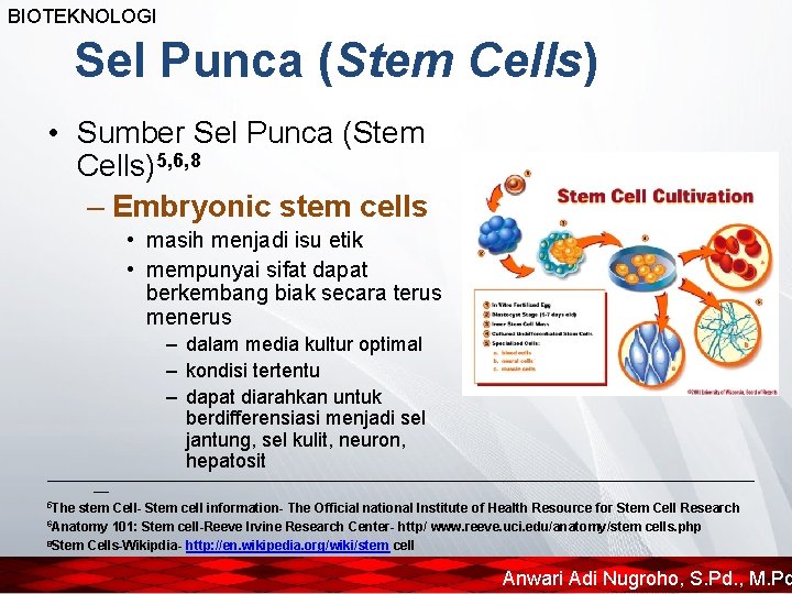 BIOTEKNOLOGI Sel Punca (Stem Cells) • Sumber Sel Punca (Stem Cells)5, 6, 8 –