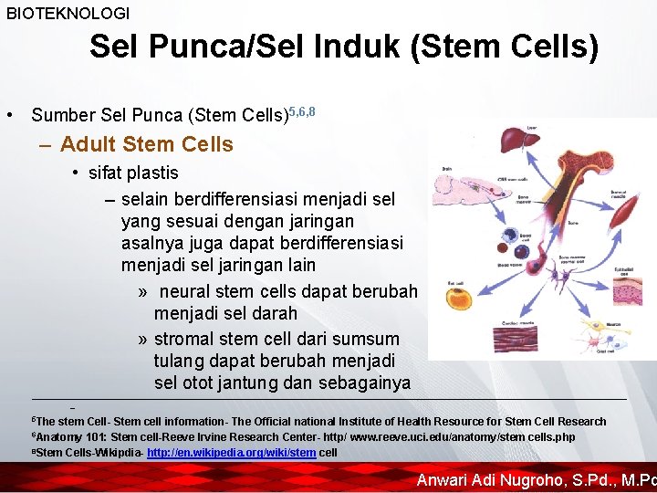 BIOTEKNOLOGI Sel Punca/Sel Induk (Stem Cells) • Sumber Sel Punca (Stem Cells)5, 6, 8