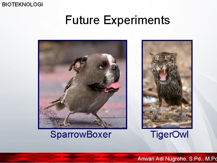 BIOTEKNOLOGI Future Experiments Sparrow. Boxer Tiger. Owl Anwari Adi Nugroho, S. Pd. , M.