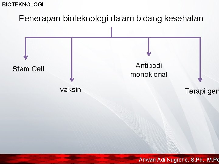 BIOTEKNOLOGI Penerapan bioteknologi dalam bidang kesehatan Antibodi monoklonal Stem Cell vaksin Terapi gen Anwari