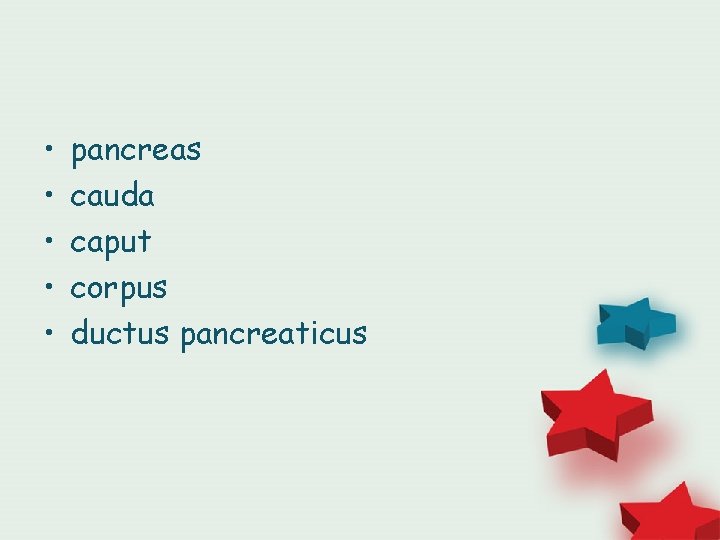  • • • pancreas cauda caput corpus ductus pancreaticus 