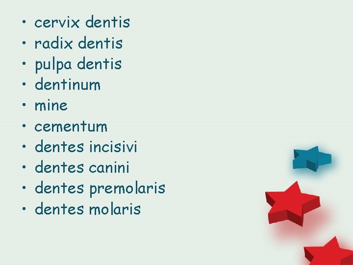  • • • cervix dentis radix dentis pulpa dentis dentinum mine cementum dentes