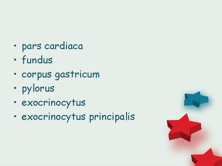  • • • pars cardiaca fundus corpus gastricum pylorus exocrinocytus principalis 