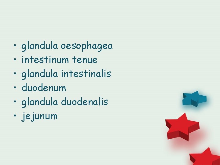  • • • glandula oesophagea intestinum tenue glandula intestinalis duodenum glandula duodenalis jejunum