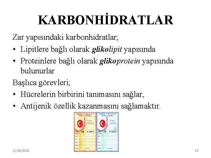 KARBONHİDRATLAR Zar yapısındaki karbonhidratlar; • Lipitlere bağlı olarak glikolipit yapısında • Proteinlere bağlı olarak