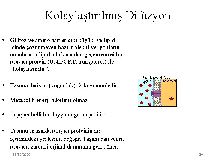 Kolaylaştırılmış Difüzyon • Glikoz ve amino asitler gibi büyük ve lipid içinde çözünmeyen bazı