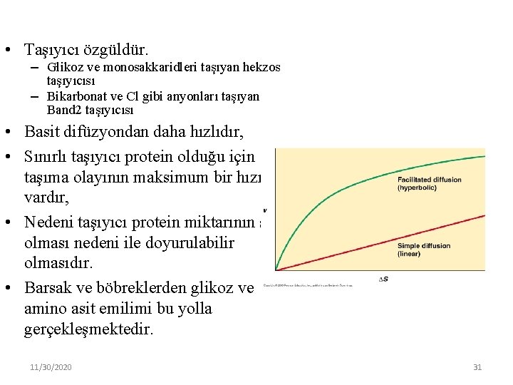  • Taşıyıcı özgüldür. – Glikoz ve monosakkaridleri taşıyan hekzos taşıyıcısı – Bikarbonat ve