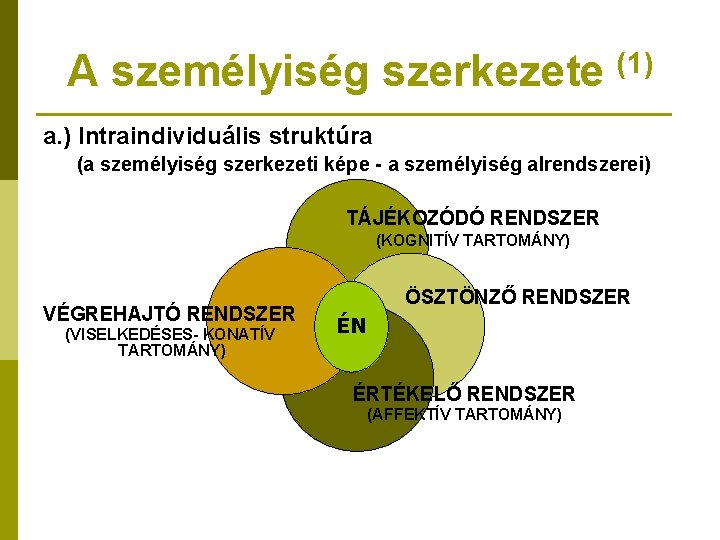 A személyiség szerkezete (1) a. ) Intraindividuális struktúra (a személyiség szerkezeti képe - a