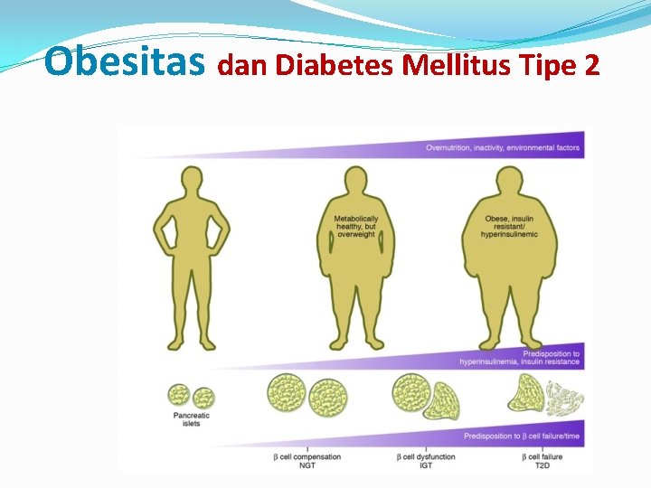 Obesitas dan Diabetes Mellitus Tipe 2 