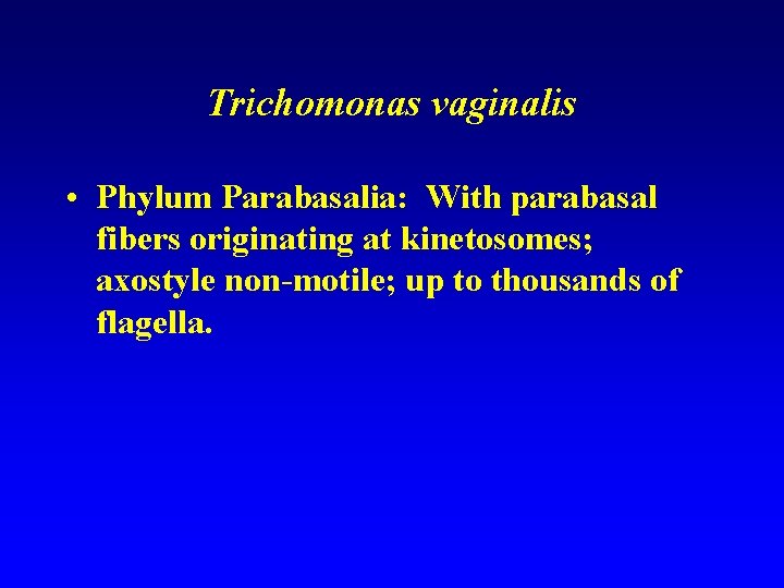 Trichomonas vaginalis • Phylum Parabasalia: With parabasal fibers originating at kinetosomes; axostyle non-motile; up
