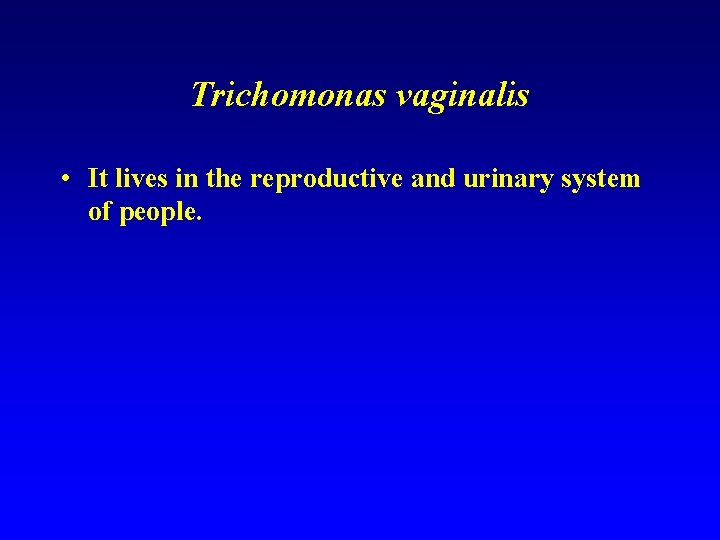 Trichomonas vaginalis • It lives in the reproductive and urinary system of people. 