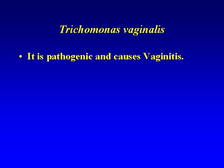 Trichomonas vaginalis • It is pathogenic and causes Vaginitis. 